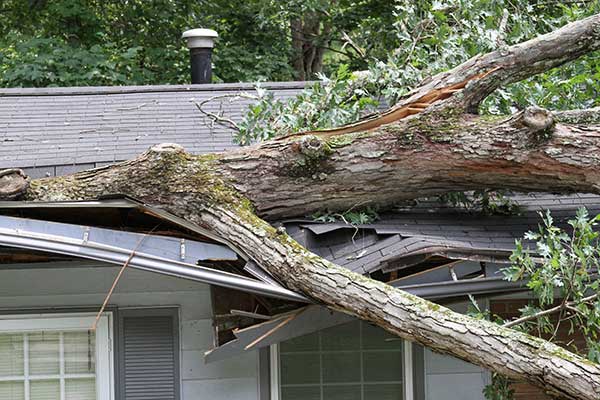 Storm Damage Roof Restoration